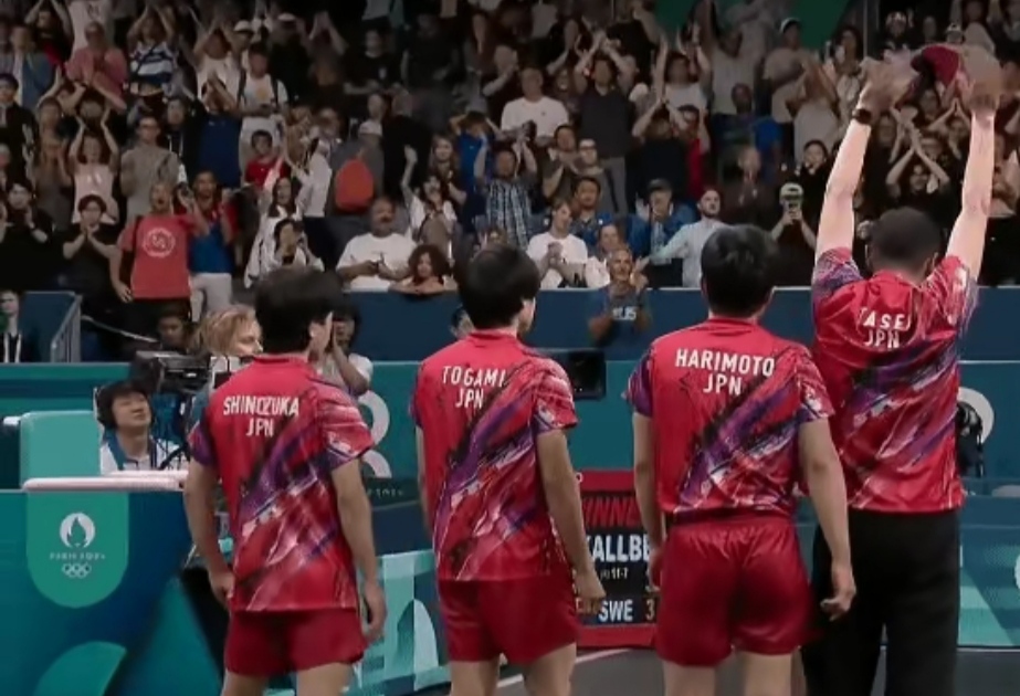 瑞典队翻盘法国队，张本智和惊艳四座的简单介绍