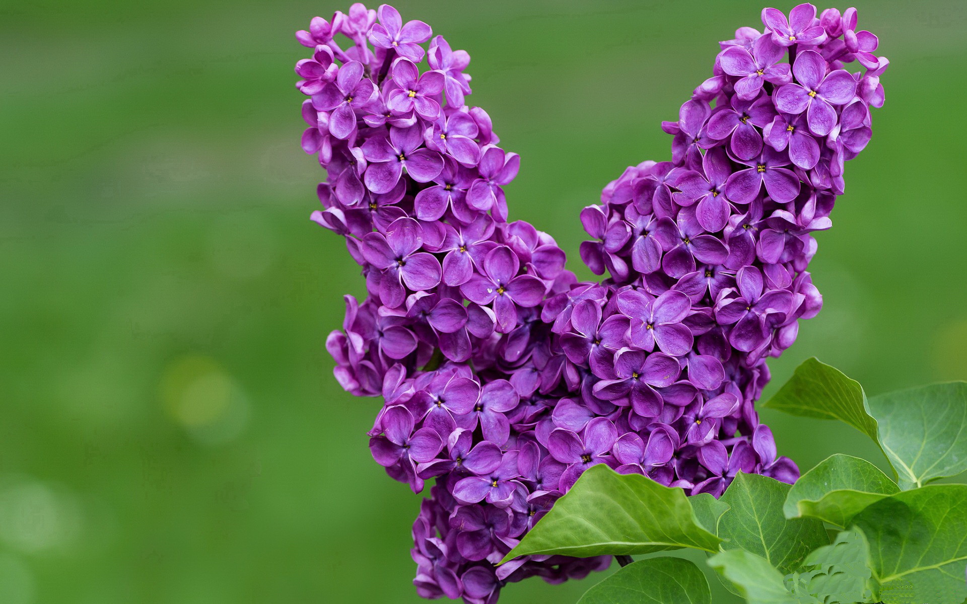 绝境双雄，字母哥暴力美学逆转京旅，哈登魔球艺术登顶世界之巅